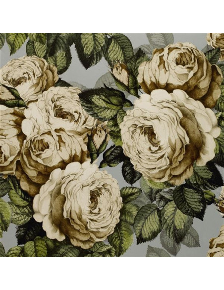 The rose de John Derian