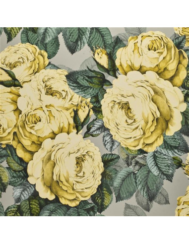 The rose de John Derian