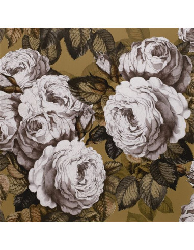 The rose de John Derian