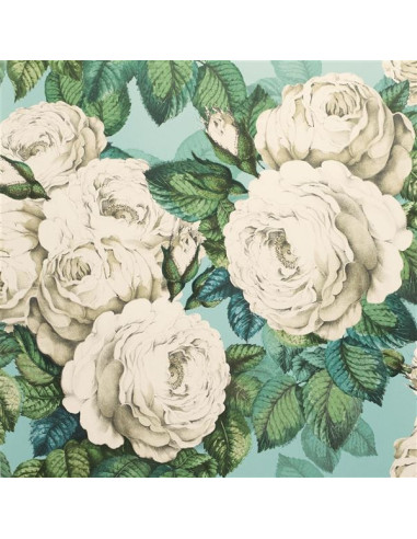 The rose de John Derian