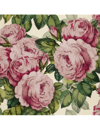 The rose de John Derian