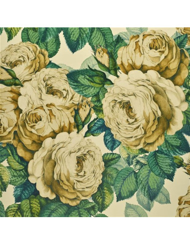 The rose de John Derian