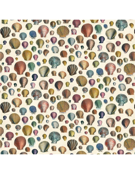 Tissu Captain Thomas Browns Shells de John Derian