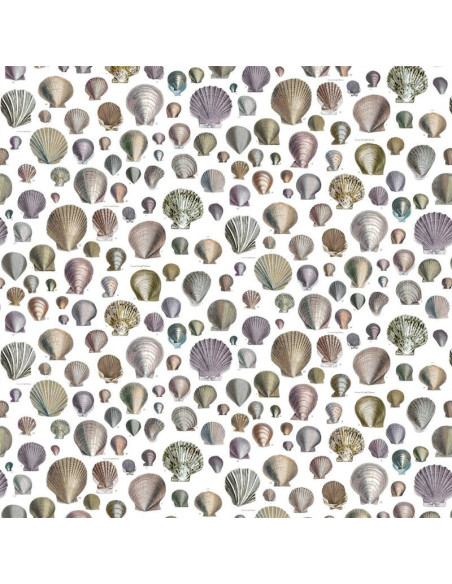 Tissu Captain Thomas Browns Shells de John Derian