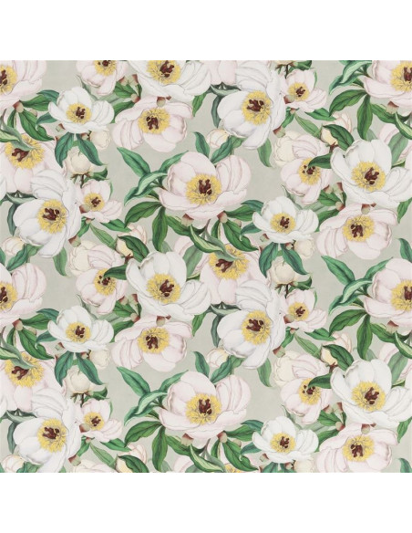 Tissu Paeonia Albiflora Celadon de John Derian