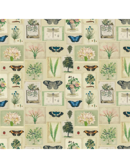 Tissu  Flora and Fauna Parchment de John Derian