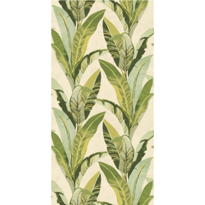 PANORAMIQUE VIVID BANANIERS DE EIJFFINGER 2