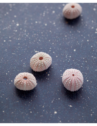 PAPIER PEINT VIVID ECLAT DE EIJFFINGER