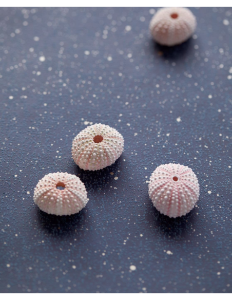 PAPIER PEINT VIVID ECLAT DE EIJFFINGER