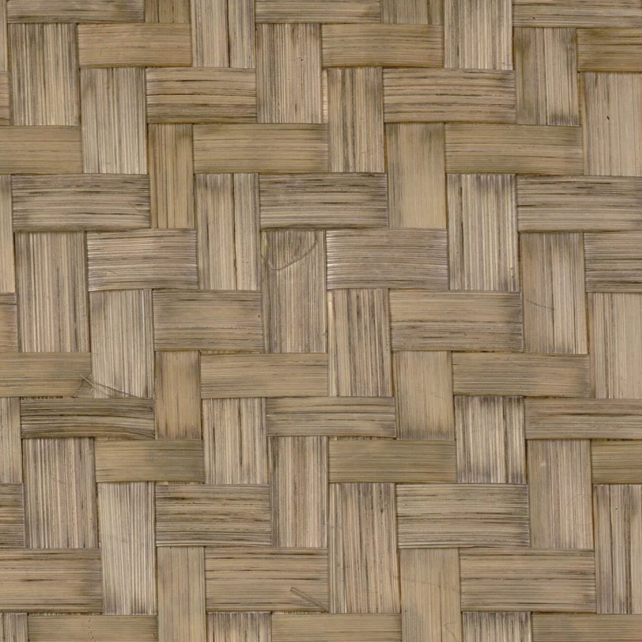 Revêtement mural Bambou twill de CMO paris
